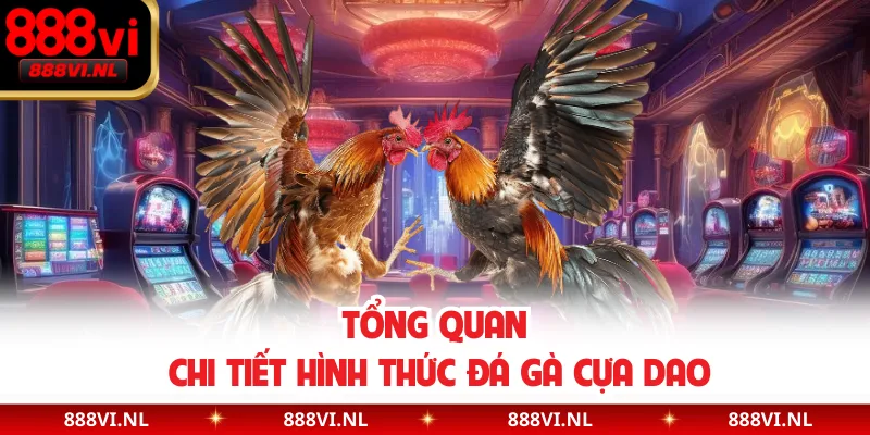 Tổng quan chi tiết hình thức đá gà cựa dao